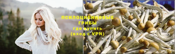 дурь Бутурлиновка