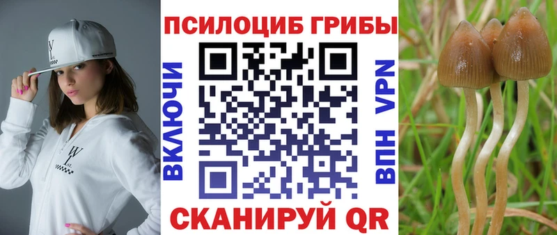 Галлюциногенные грибы GOLDEN TEACHER Верхоянск