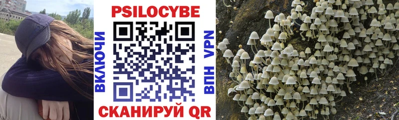 Галлюциногенные грибы Magic Shrooms  Купить  Верхоянск 